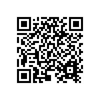 Betaal-QR Lions Pub Quiz (€100 per team)